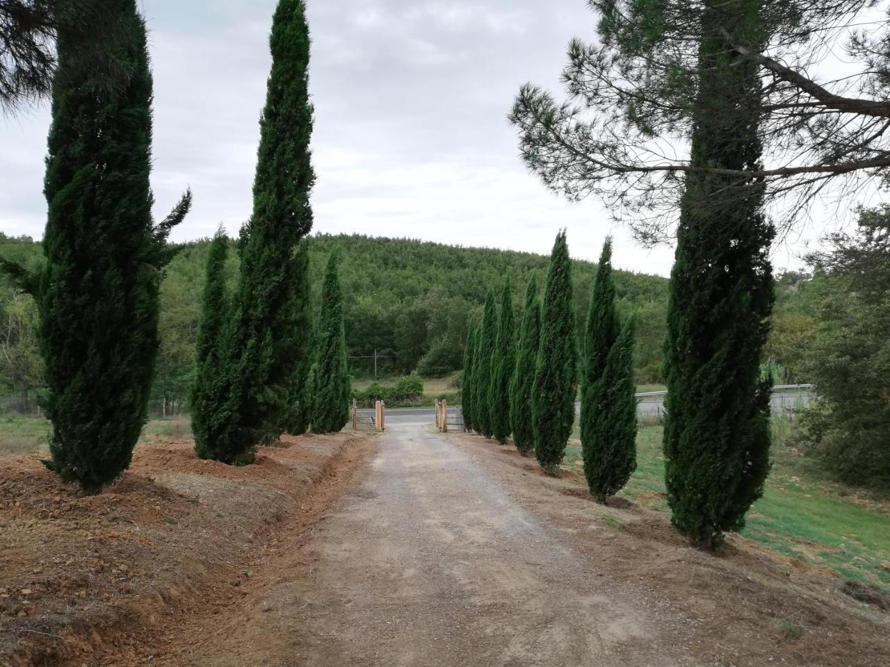 La Pianaccia Villa Manciano Dış mekan fotoğraf